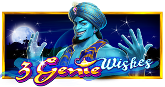 Three genie wishes